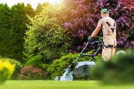 Tips For Lawn Care