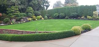 Landscaping Spotswood Offer a Wide Range of Landscaping Services